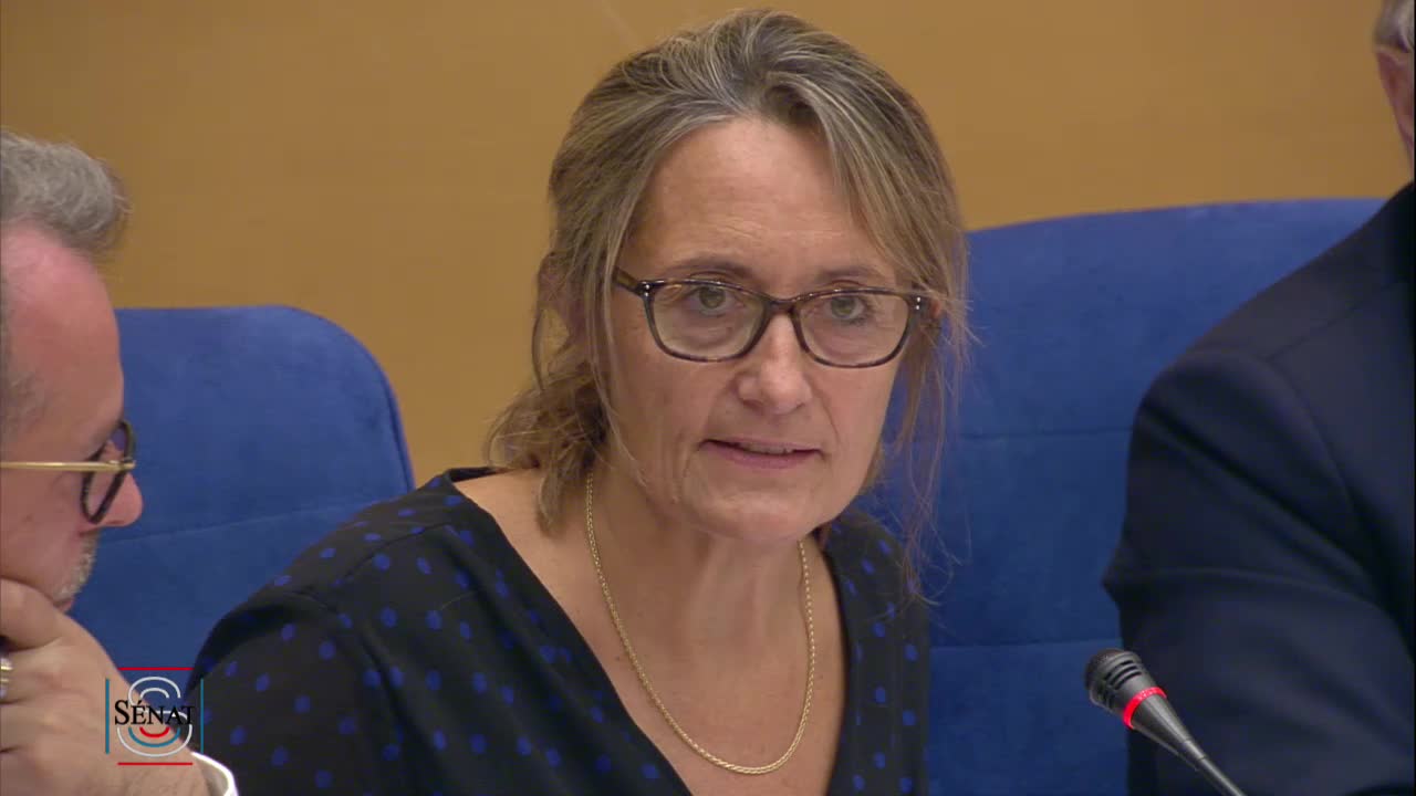 Audition de M. Bruno Ferreira, Directeur Général de l'Alimentation