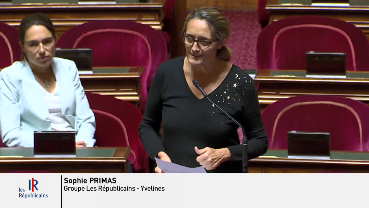 Séance publique du 27 septembre 2019 (après-midi)