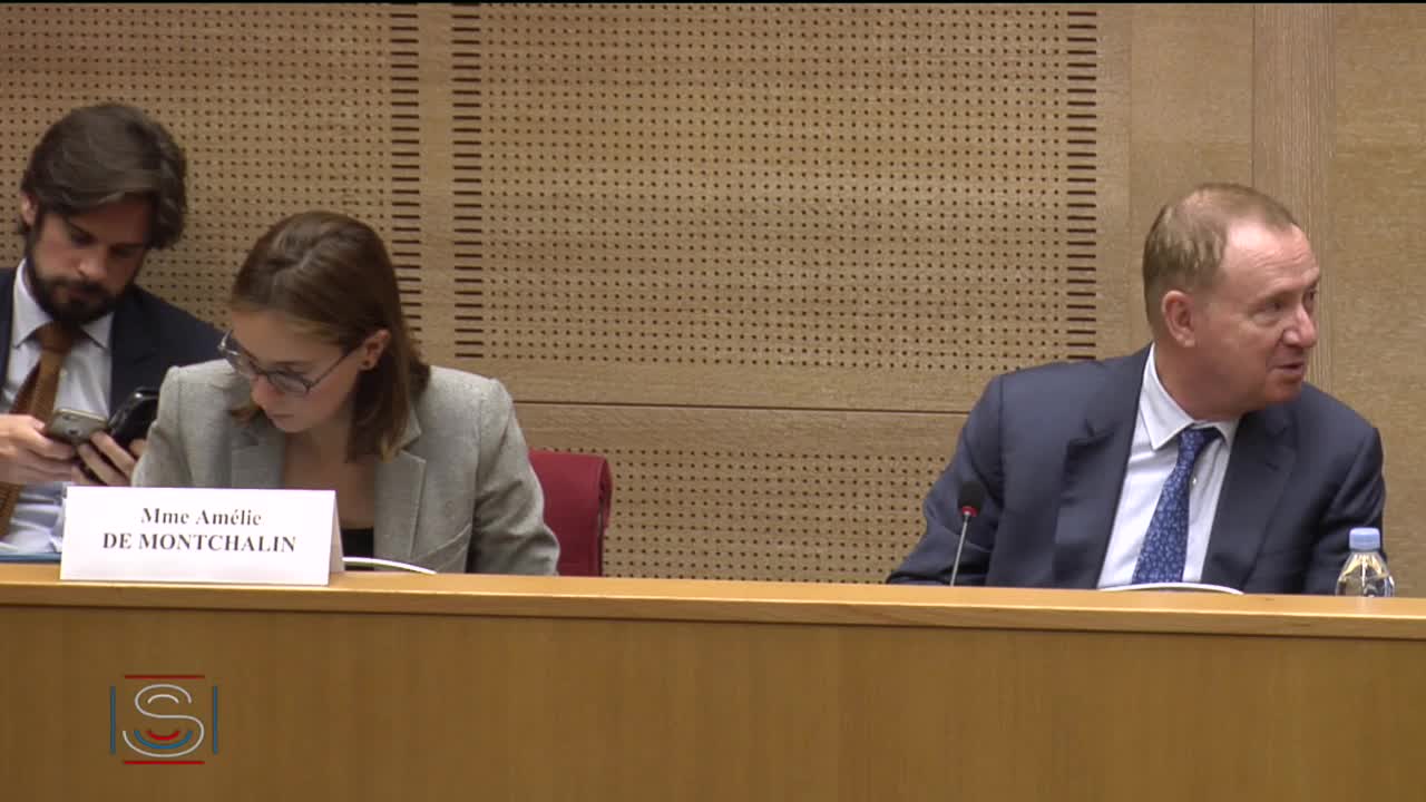 Débat préalable au Conseil européen des 17 et 18 octobre en présence de Mme Amélie de Montchalin
