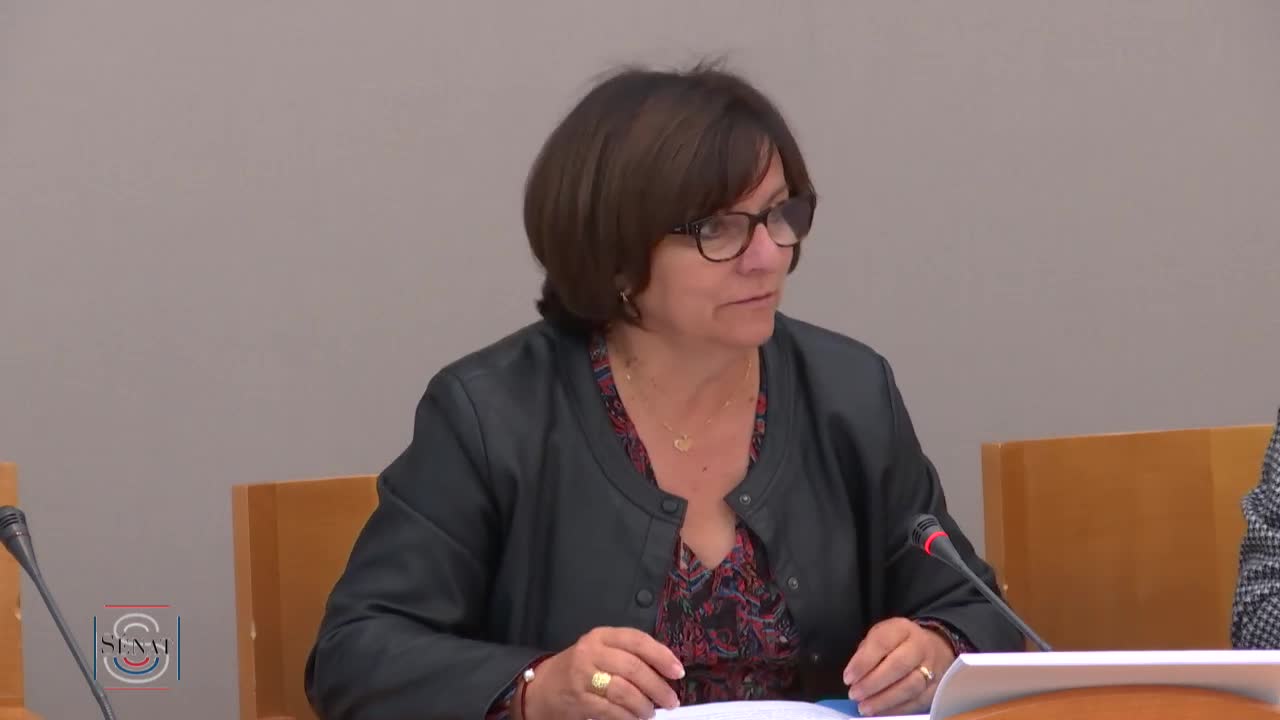 Audition plénière de la Société nationale du sauvetage en mer (SNSM)