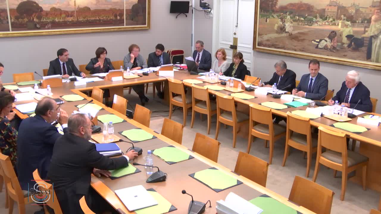 Audition plénière de la Société nationale du sauvetage en mer (SNSM)