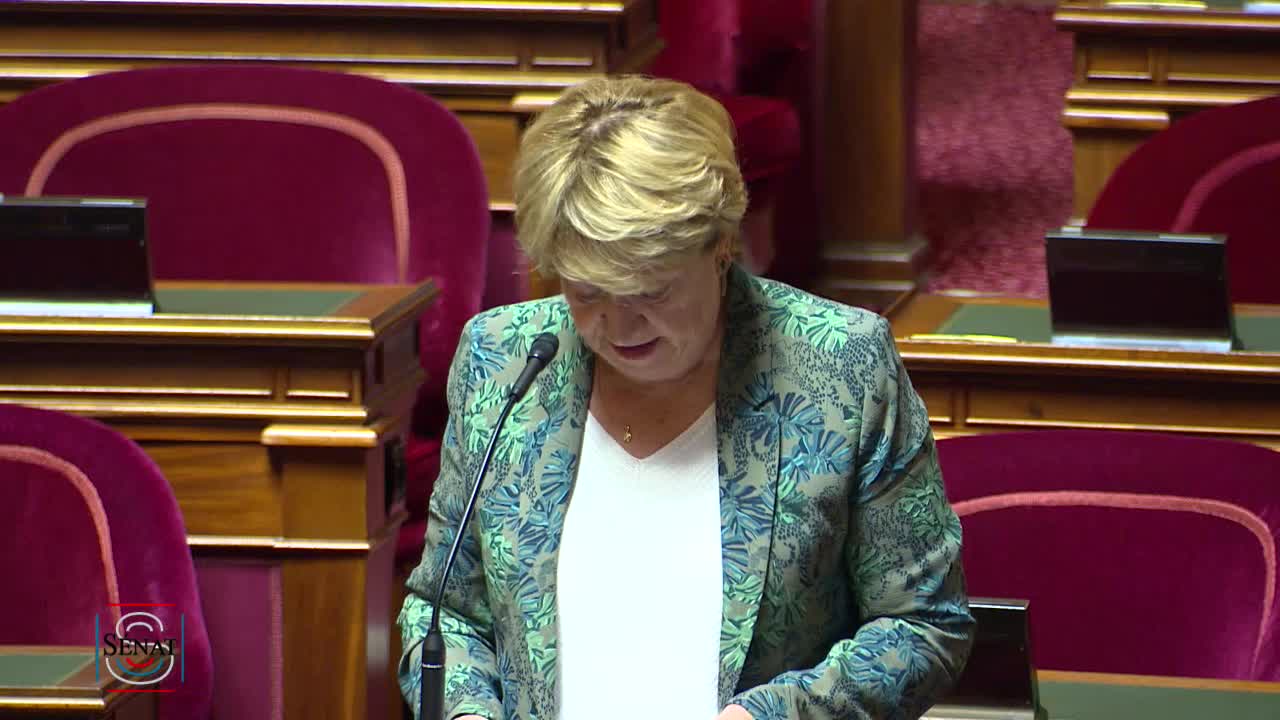 Séance publique du 15 octobre 2019 (matin)
