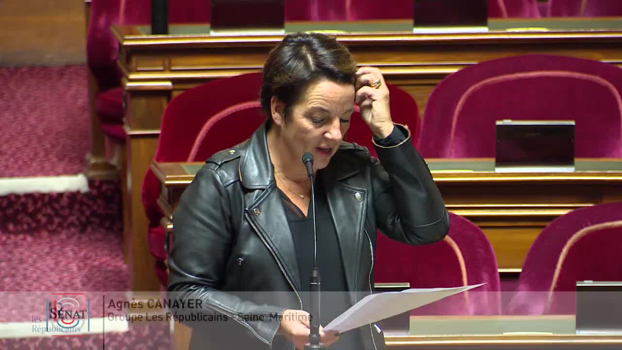 Séance publique du 15 octobre 2019 (matin)