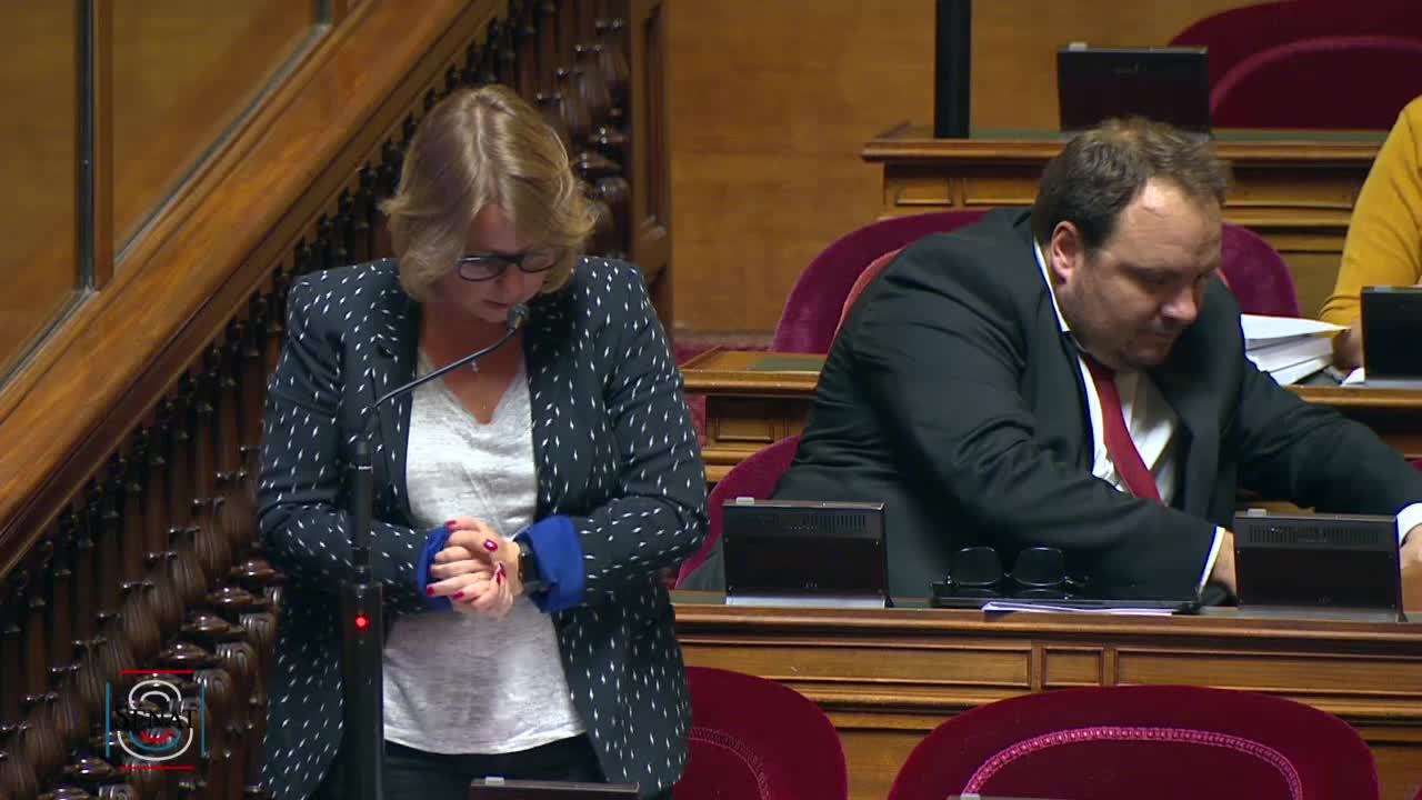 Séance publique du 15 octobre 2019 (après-midi)