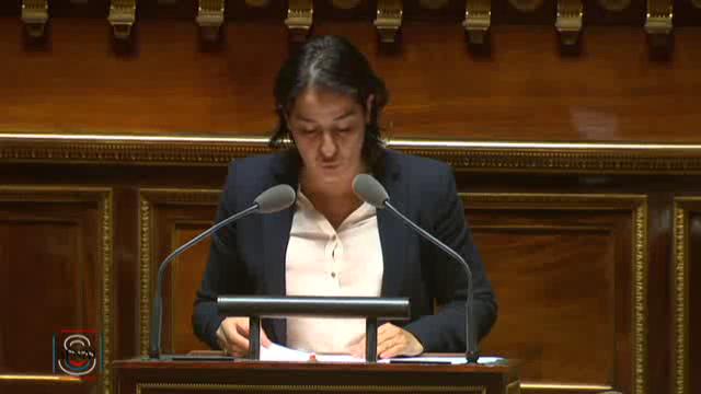 Séance publique du 19 novembre 2014