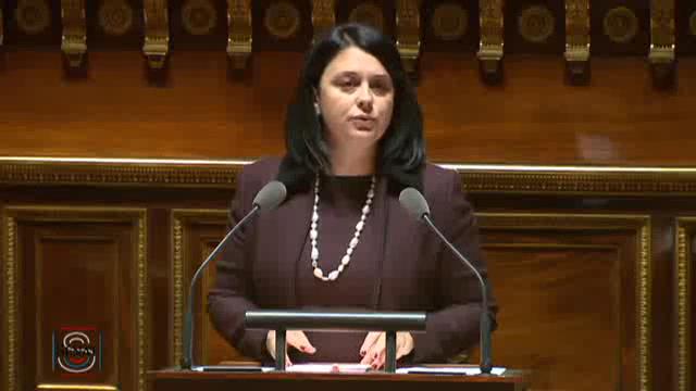 Séance publique du 19 novembre 2014