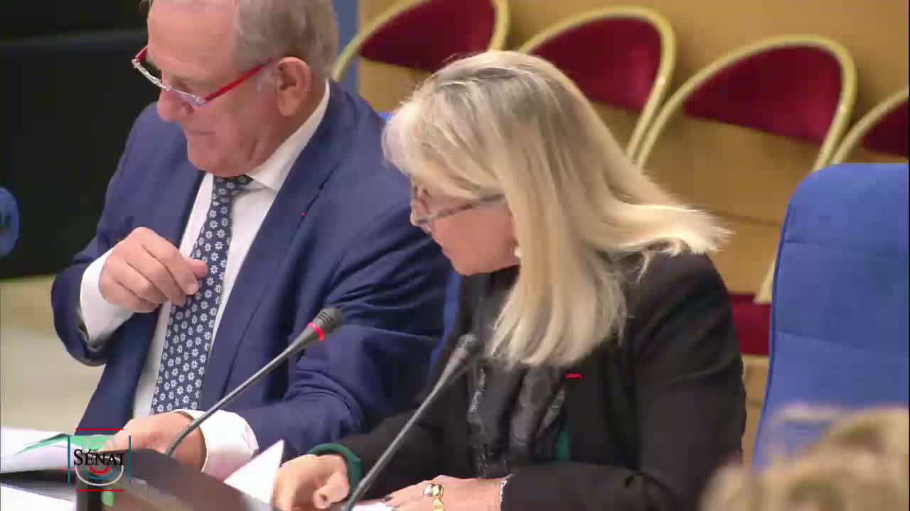 PPL Fondation du Patrimoine - Examen du rapport et établissement du texte (LEC)