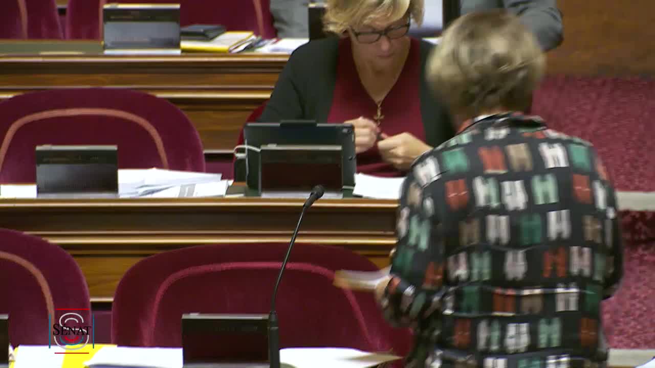 Séance publique du 17 octobre 2019 (soir)