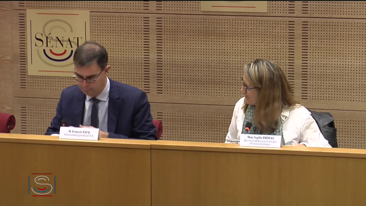Audition de M. François Jacq, administrateur général du CEA