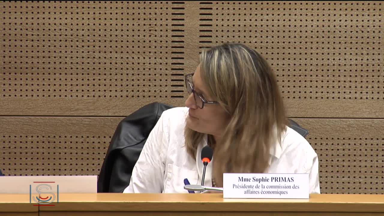 Audition de M. François Jacq, administrateur général du CEA