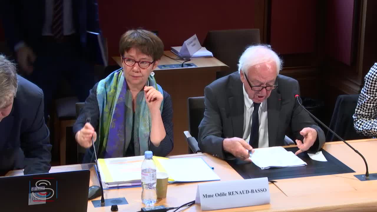 PLF 2020 - Audition de Mme Odile Renaud-Basso, directrice générale du Trésor.