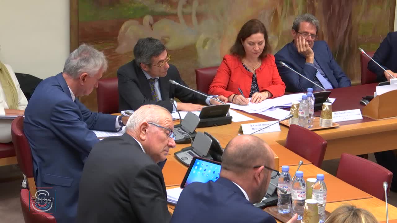PLFSS Budget 2020 - Audition de Mme Isabelle Sancerni et M. Vincent Mazauric, CNAF, M. Yann-Gaël Amghar, Acoss