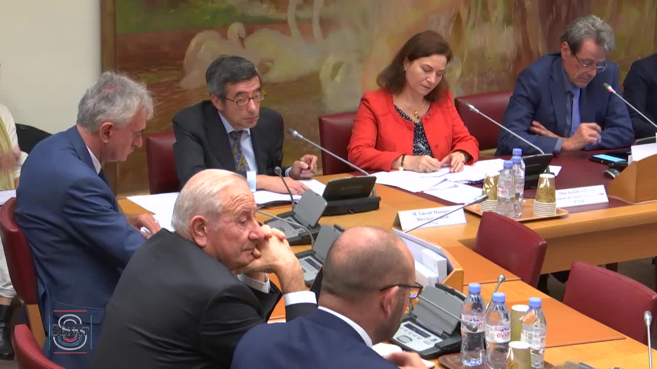 PLFSS Budget 2020 - Audition de Mme Isabelle Sancerni et M. Vincent Mazauric, CNAF, M. Yann-Gaël Amghar, Acoss