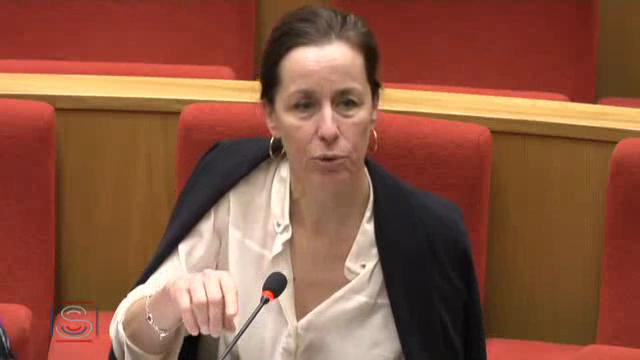 Audition de Mme Anne Brasseur, présidente de l'Assemblée parlementaire du Conseil de l'Europe