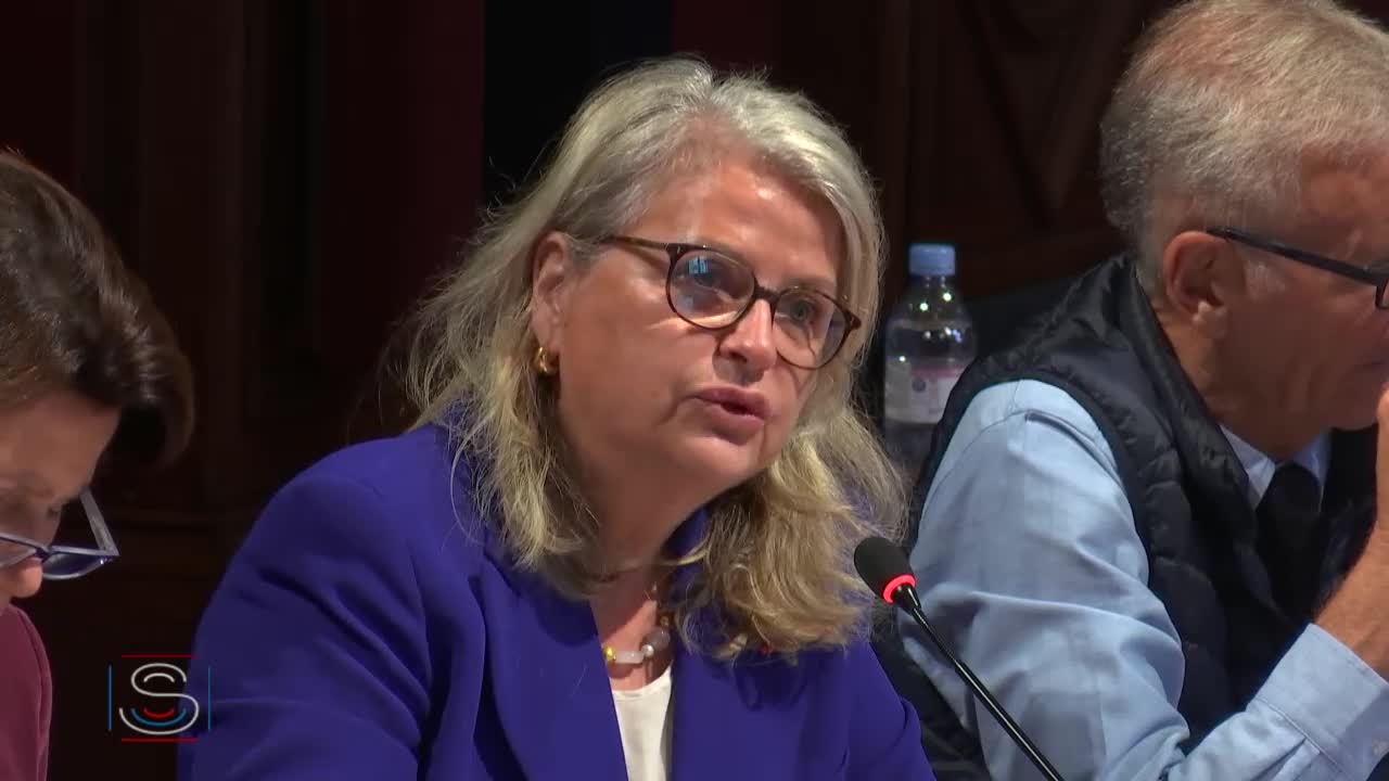 PLF 2020 - Audition de M. François Delattre, secrétaire général du MEAE