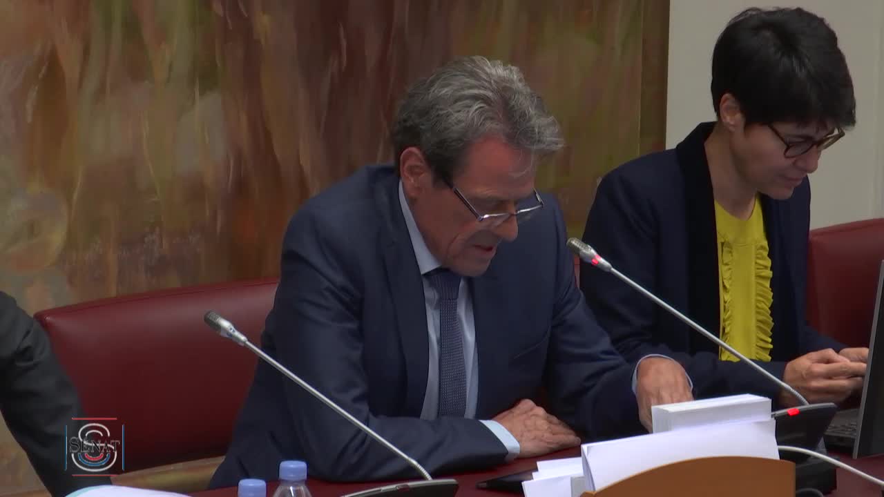 PLFSS pour 2020 - Audition de Mme Anne Thiebeauld, directrice par intérim des risques professionnels de la CNAM