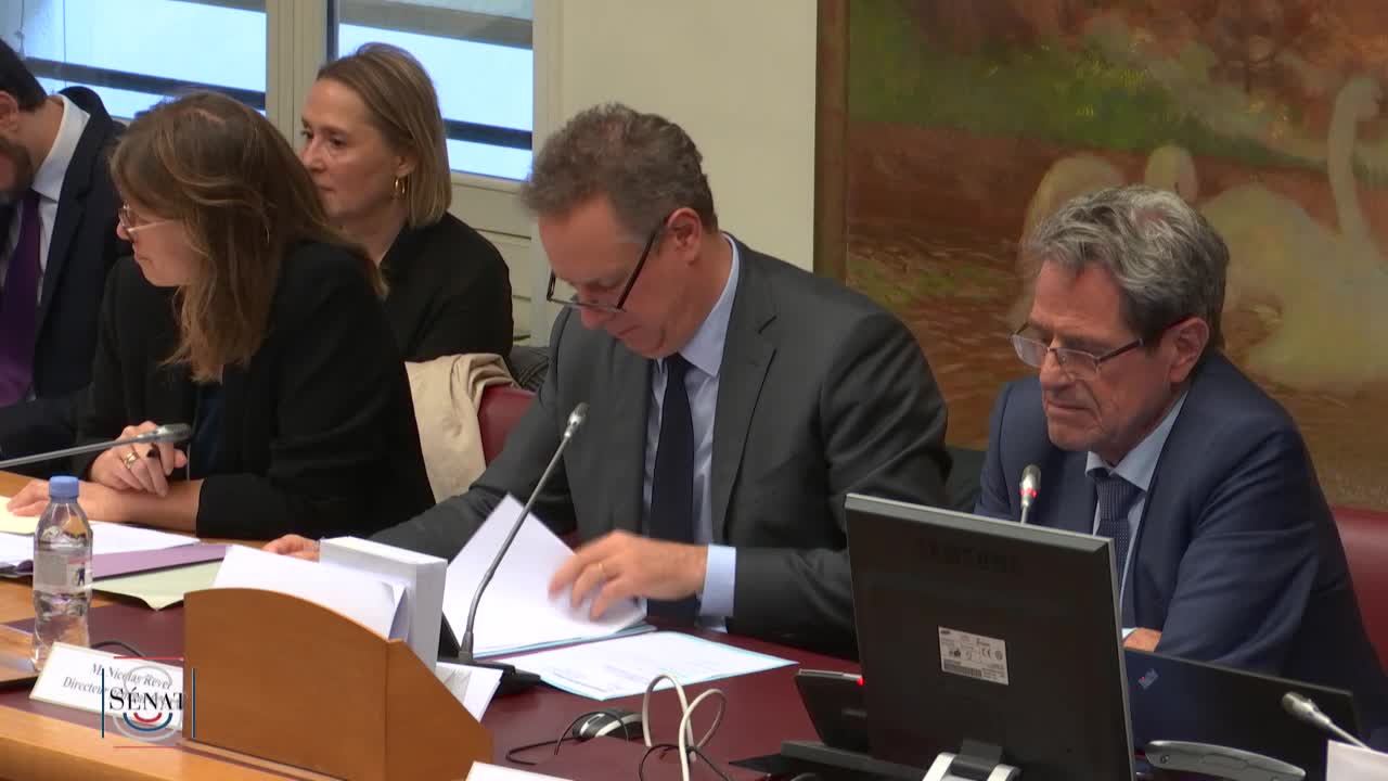PLFSS pour 2020 - Audition de Mme Anne Thiebeauld, directrice par intérim des risques professionnels de la CNAM