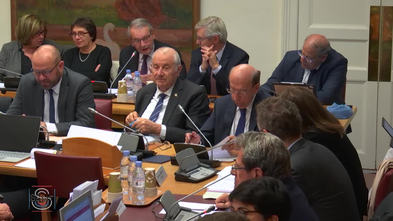 PLFSS pour 2020 - Audition de Mme Anne Thiebeauld, directrice par intérim des risques professionnels de la CNAM