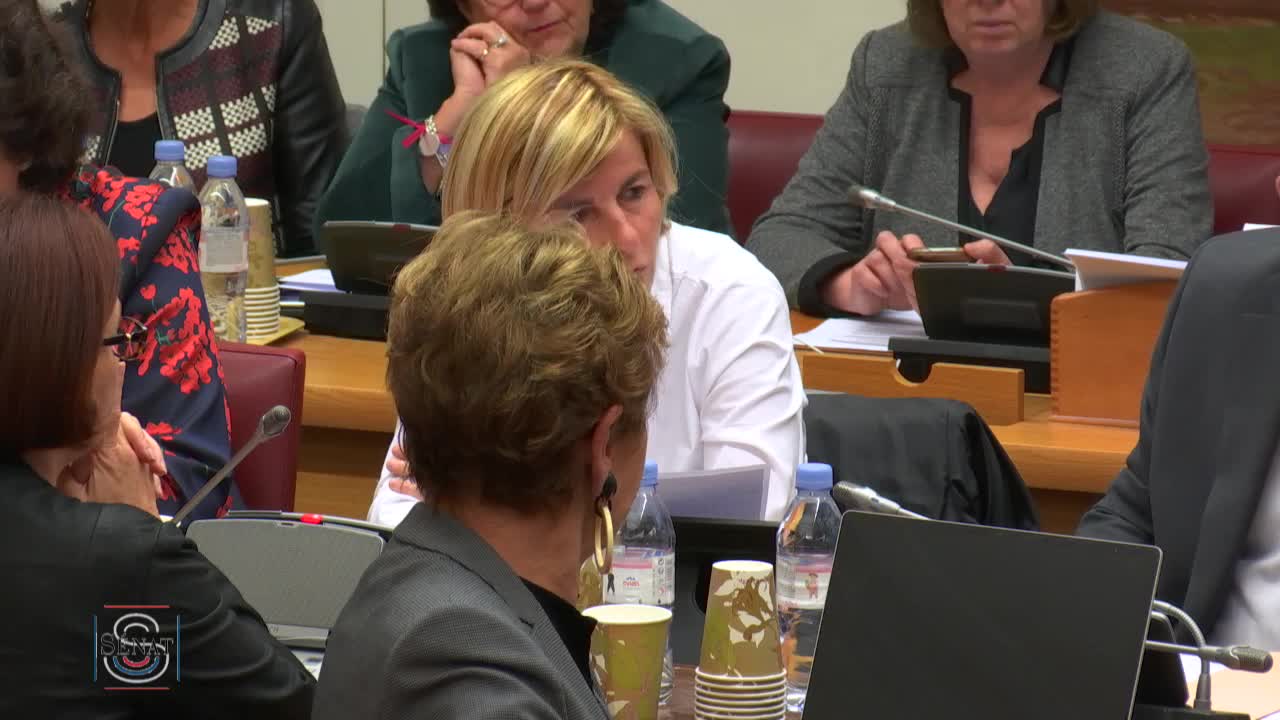 PLFSS pour 2020 - Audition de Mme Anne Thiebeauld, directrice par intérim des risques professionnels de la CNAM