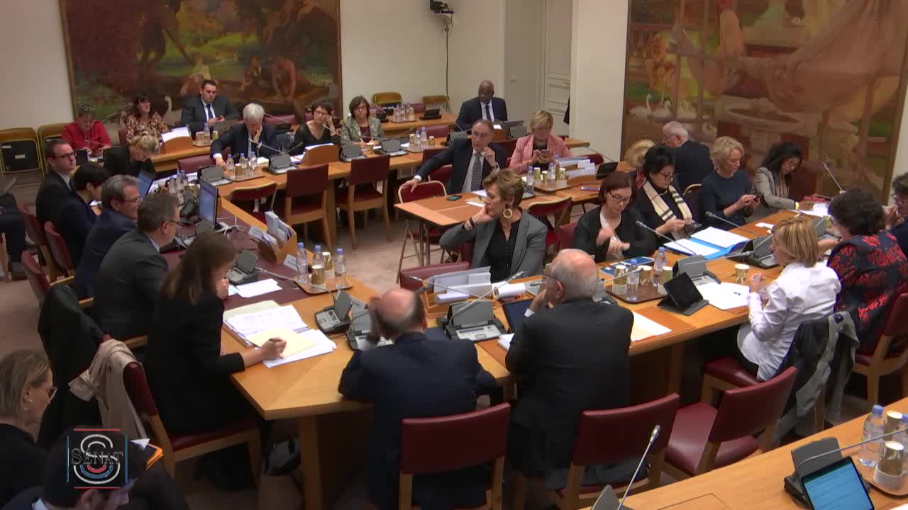 PLFSS pour 2020 - Audition de Mme Anne Thiebeauld, directrice par intérim des risques professionnels de la CNAM
