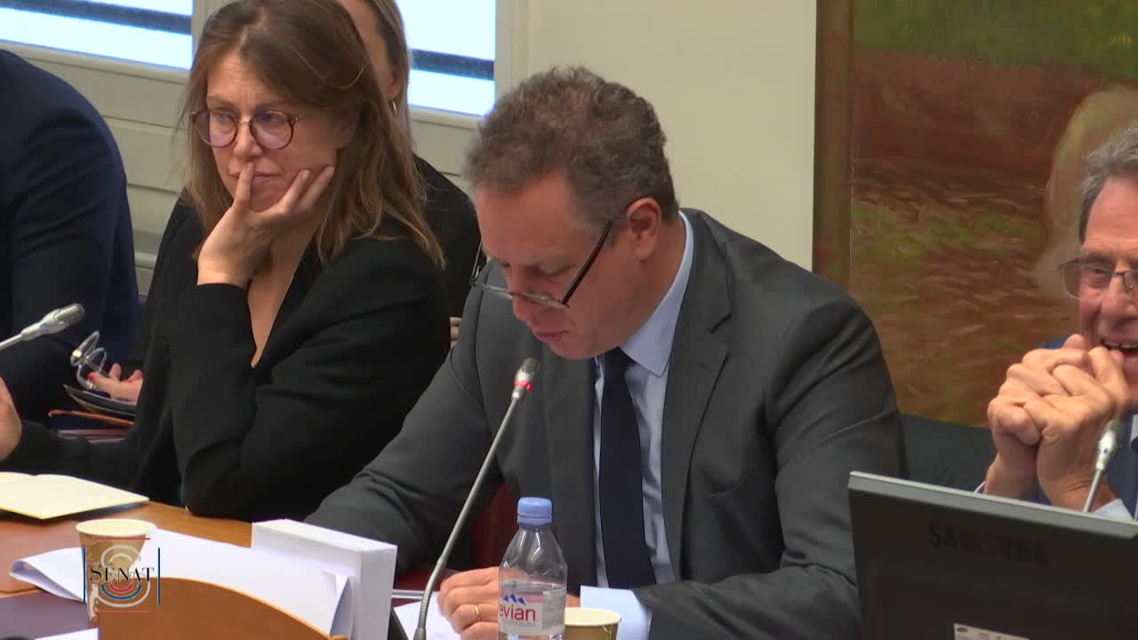 PLFSS pour 2020 - Audition de Mme Anne Thiebeauld, directrice par intérim des risques professionnels de la CNAM