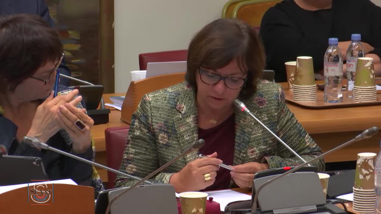 PLFSS pour 2020 - Audition de Mme Anne Thiebeauld, directrice par intérim des risques professionnels de la CNAM