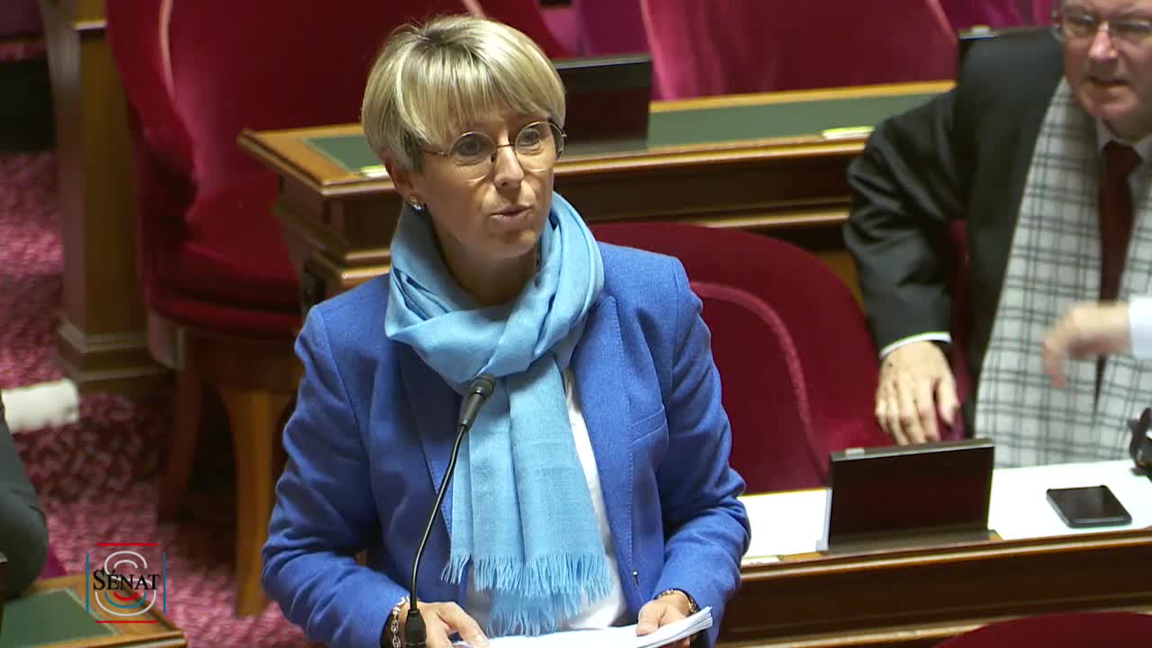 Séance publique du 29 octobre 2019 (après-midi)