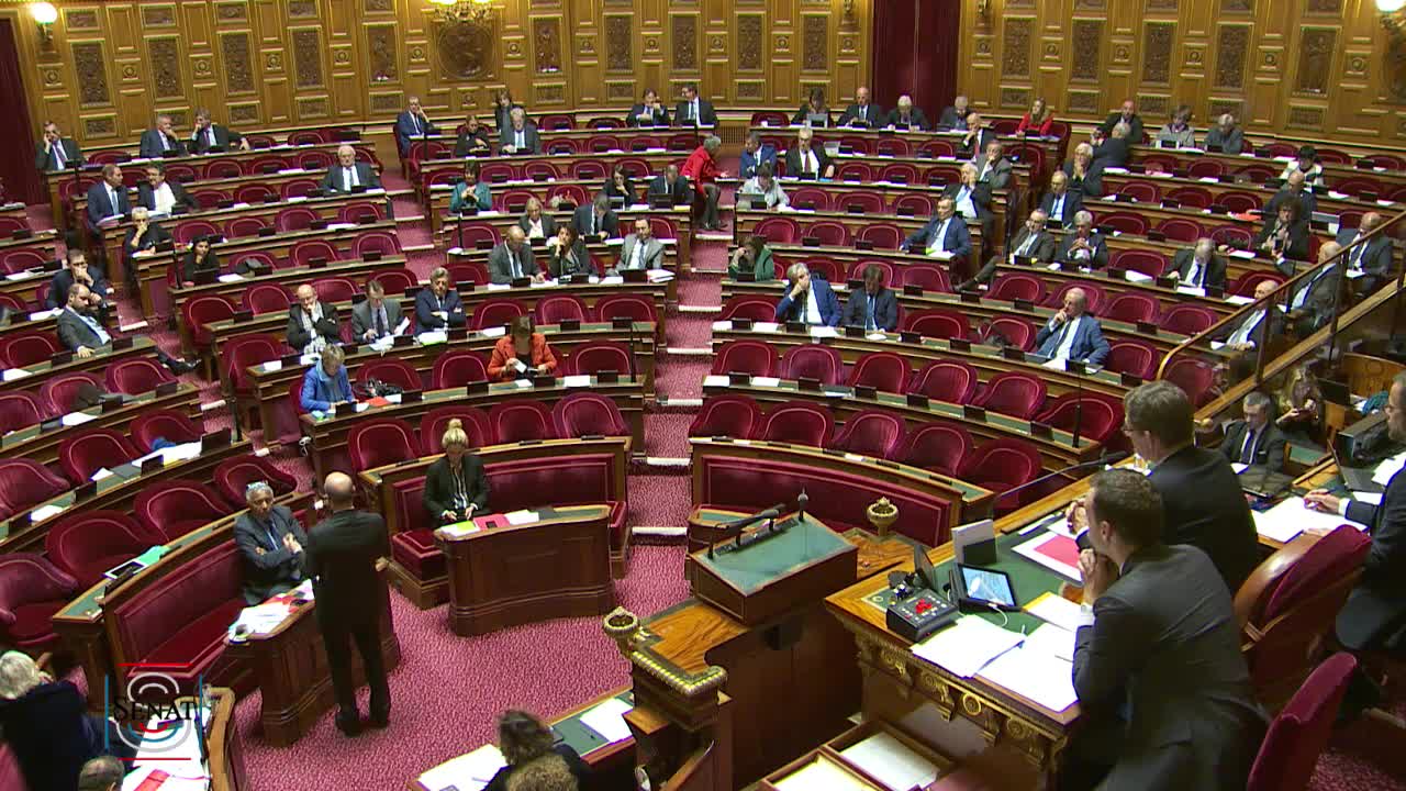 Séance publique du 29 octobre 2019 (après-midi)