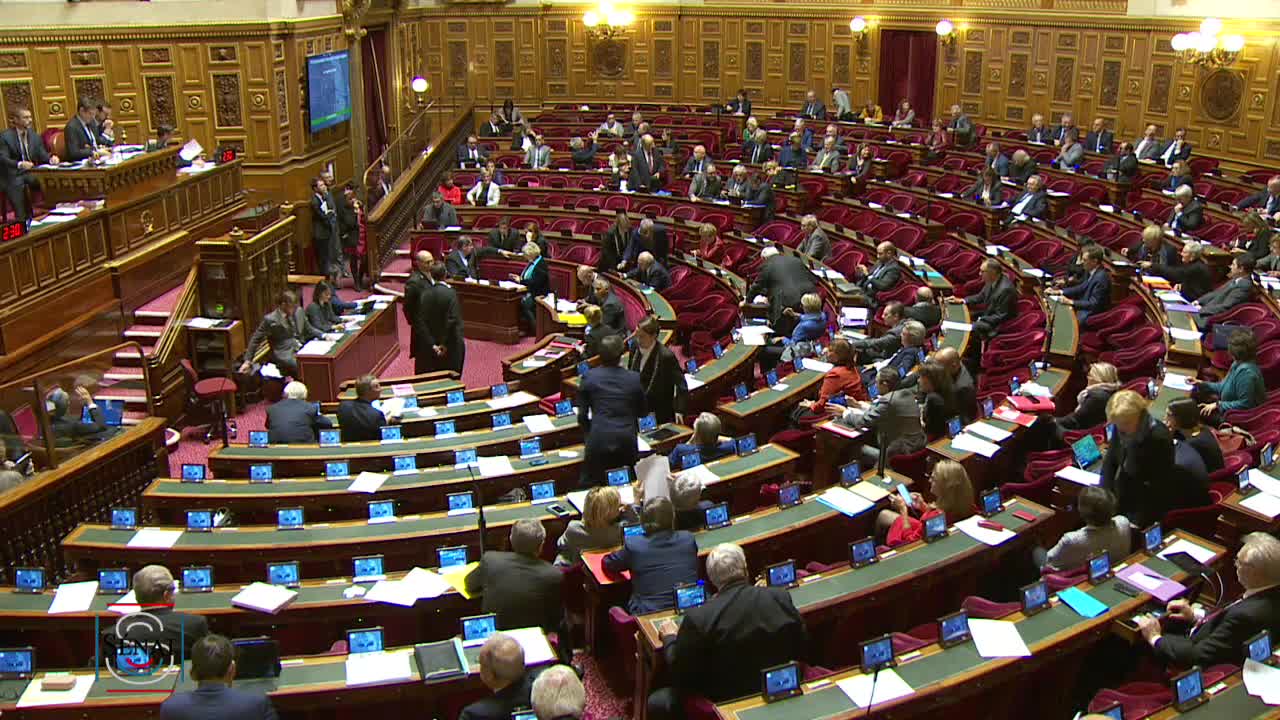Séance publique du 29 octobre 2019 (après-midi)