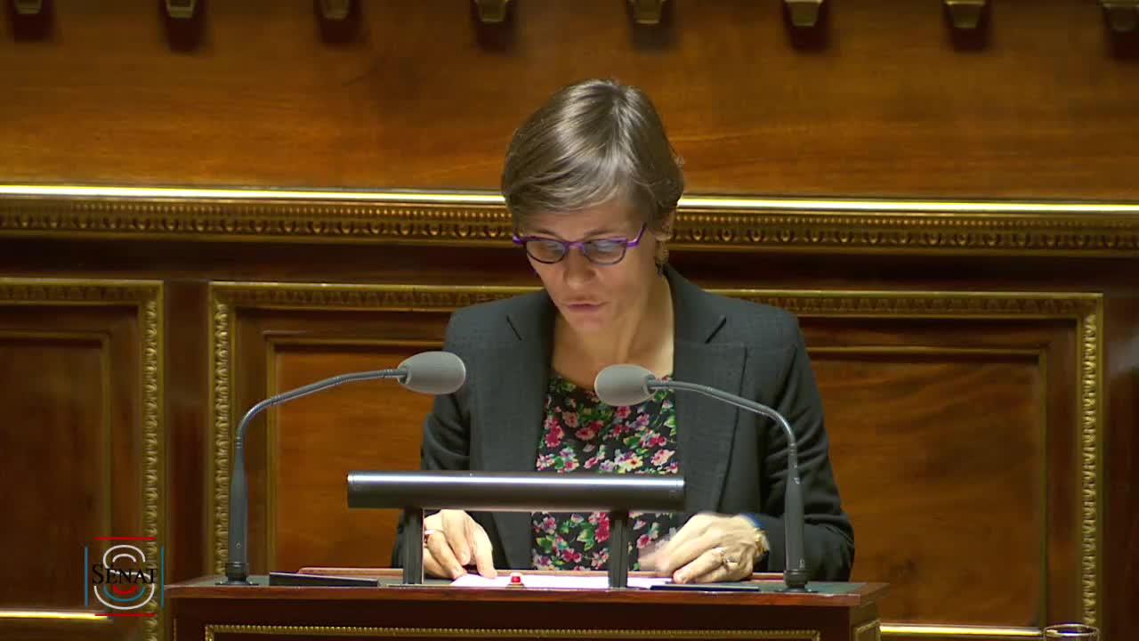 Séance publique du 29 octobre 2019 (après-midi)