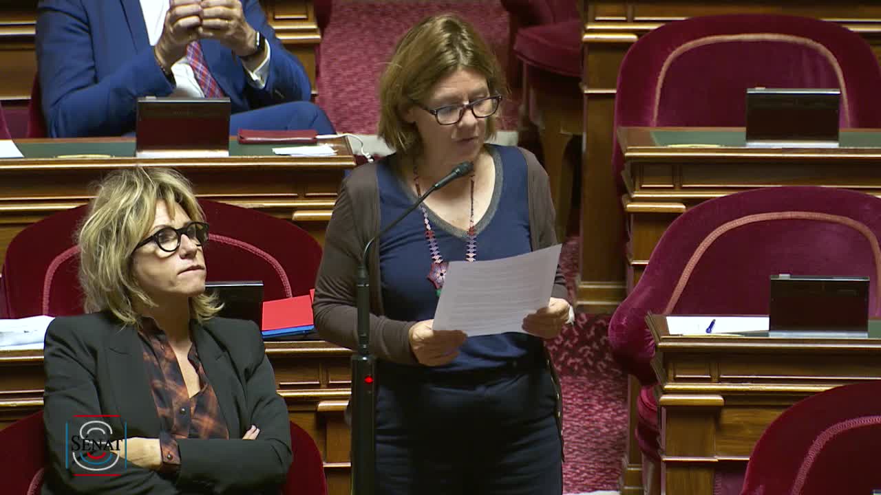 Séance publique du 29 octobre 2019 (après-midi)