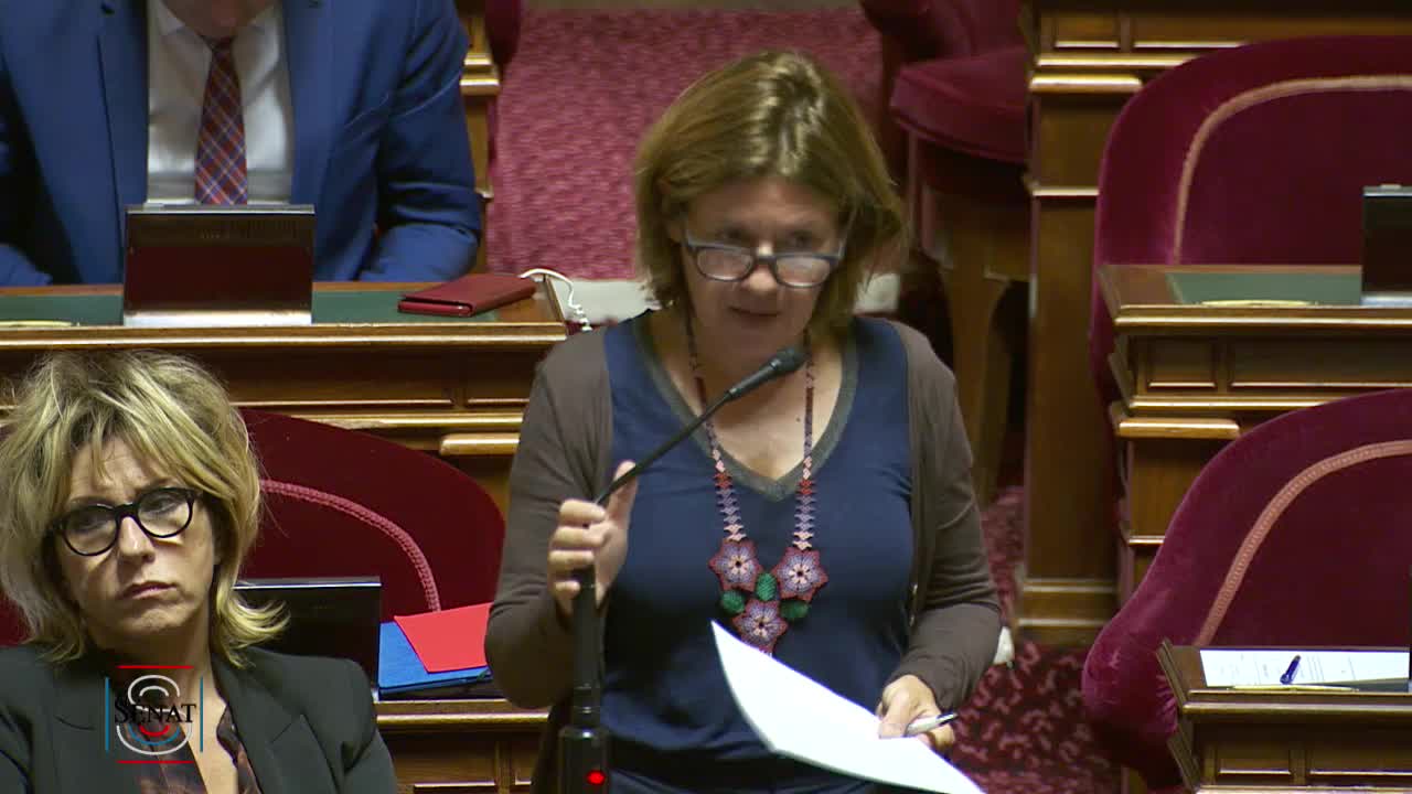 Séance publique du 29 octobre 2019 (après-midi)