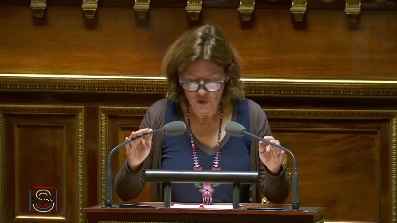 Séance publique du 29 octobre 2019 (après-midi)