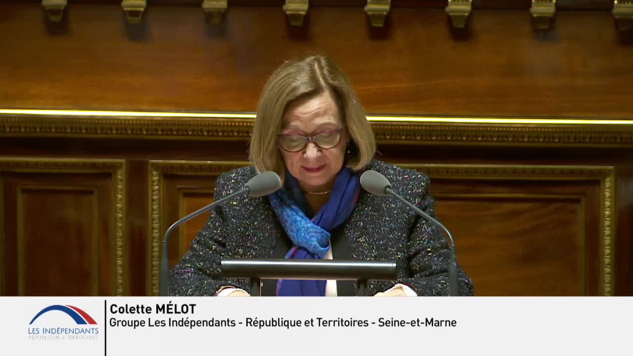 Séance publique du 29 octobre 2019 (après-midi)
