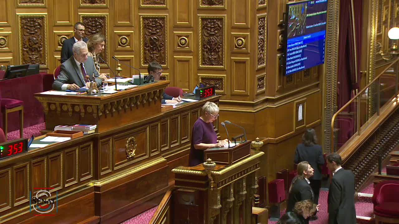 Séance publique du 29 octobre 2019 (soir)