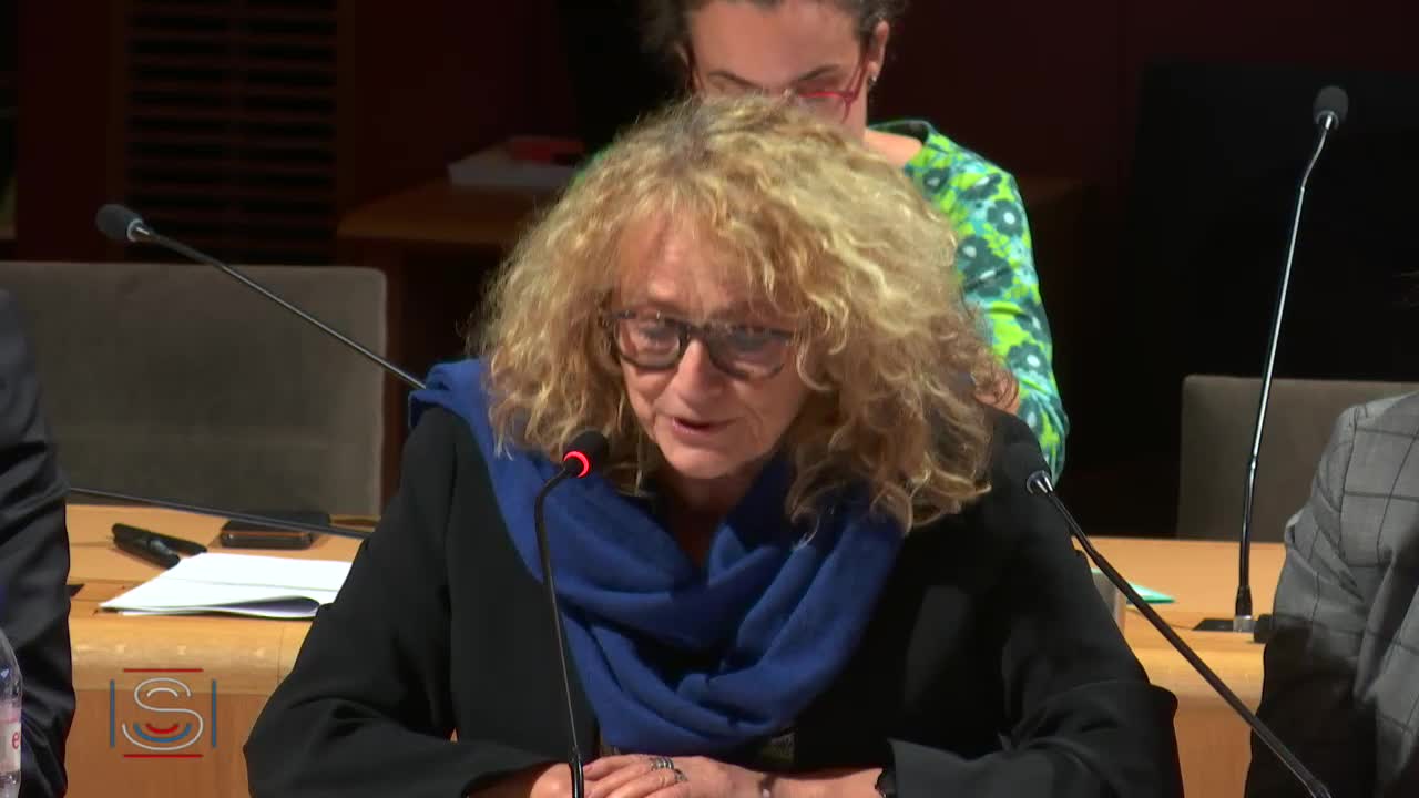 Projet de loi de finances pour 2020 : Audition de M. Franck Riester, ministre de la culture