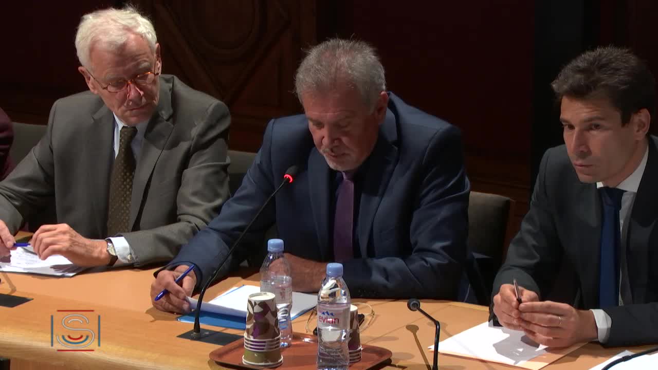 Projet de loi de finances pour 2020 : Audition de M. Franck Riester, ministre de la culture