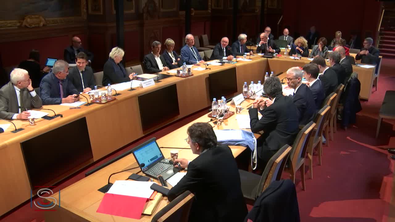 Projet de loi de finances pour 2020 : Audition de M. Franck Riester, ministre de la culture