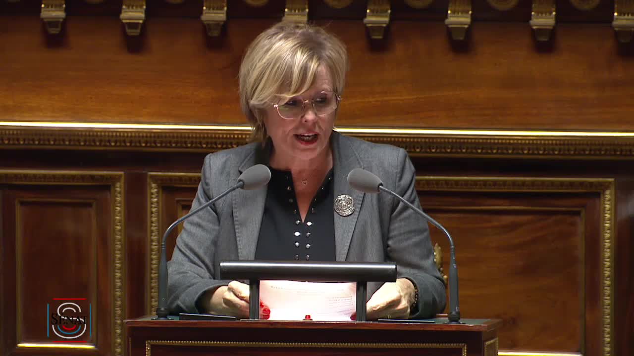 Séance publique du 5 novembre 2019 (après-midi)