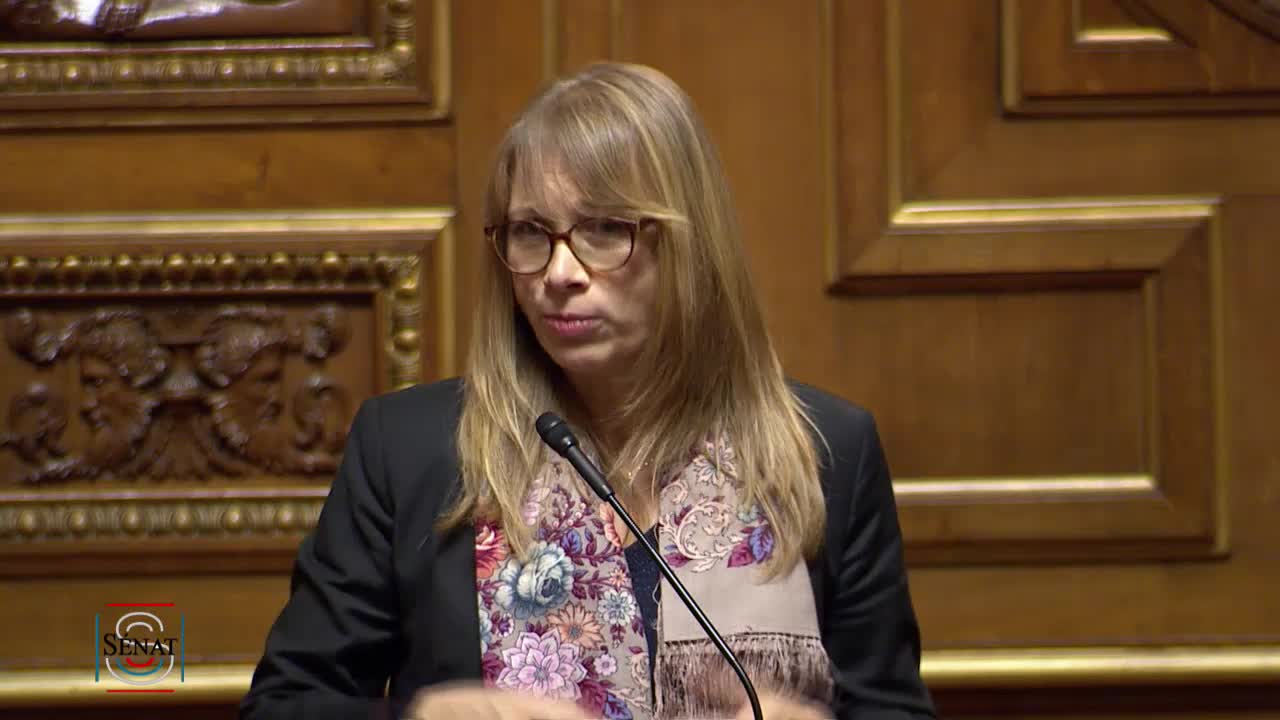 Séance publique du 5 novembre 2019 (après-midi)