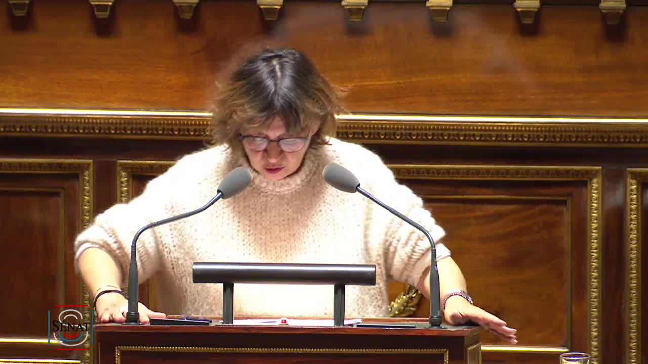 Séance publique du 5 novembre 2019 (après-midi)