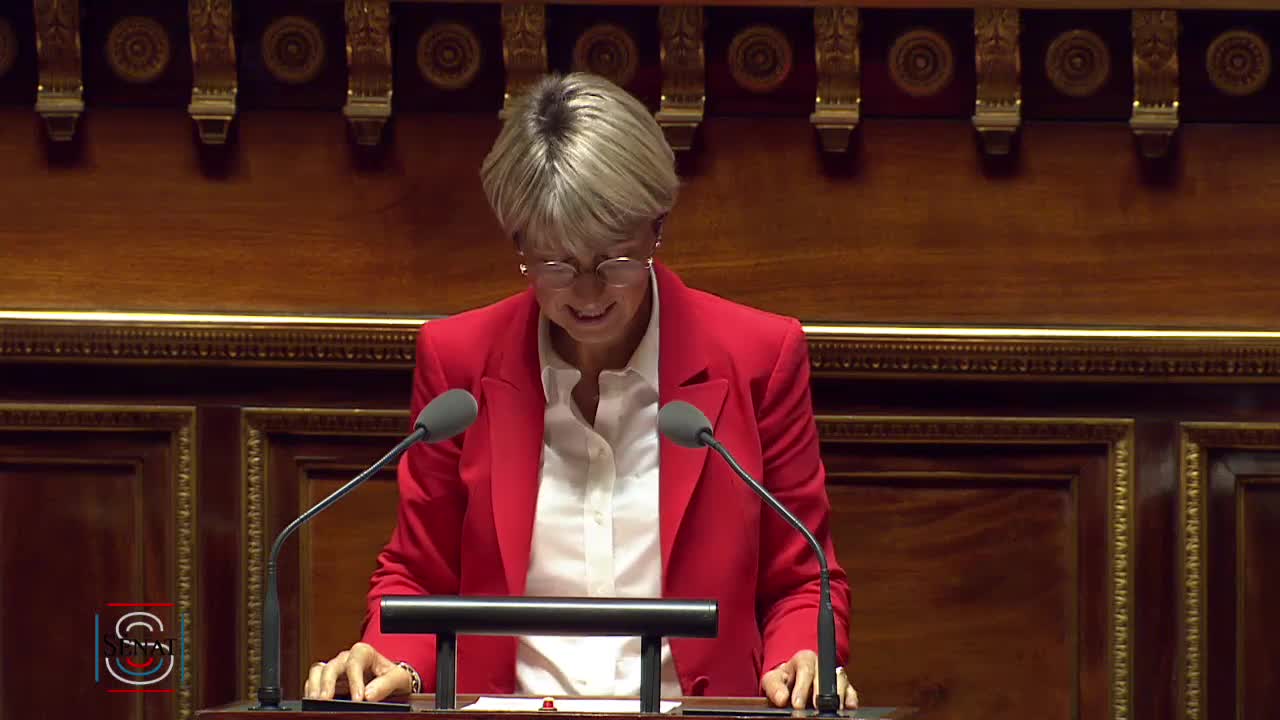 Séance publique du 6 novembre 2019 (après-midi)