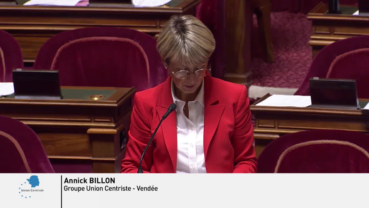 Séance publique du 6 novembre 2019 (soir)