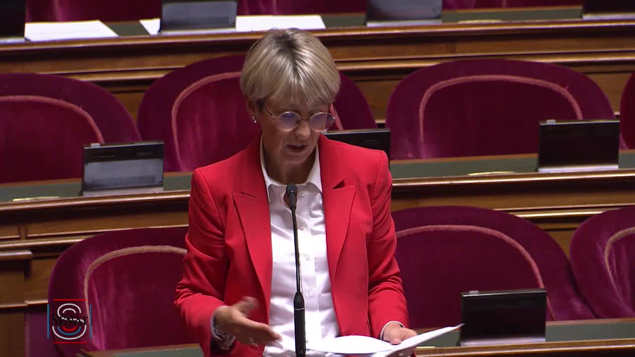 Séance publique du 6 novembre 2019 (soir)