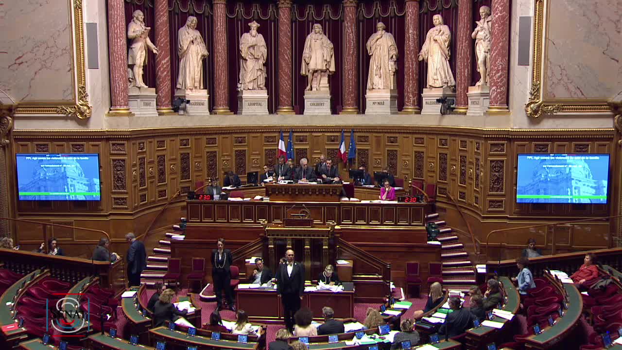 Séance publique du 6 novembre 2019 (soir)