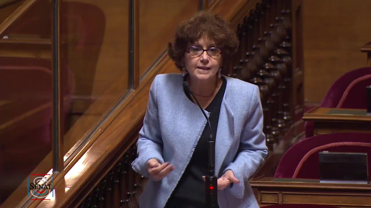 Séance publique du 6 novembre 2019 (soir)