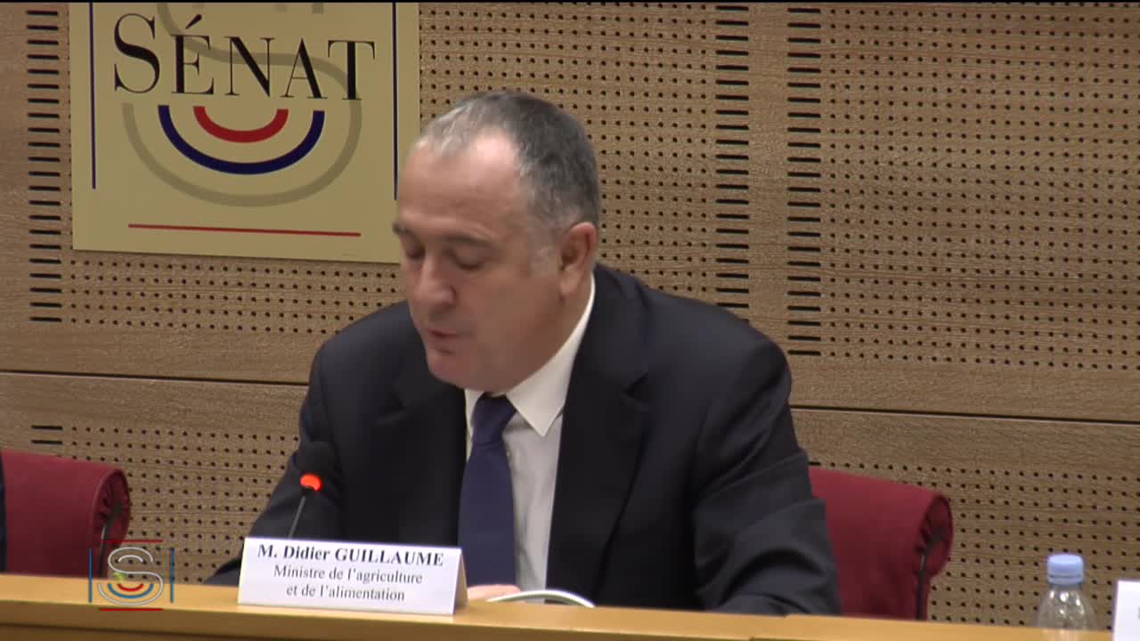 Projet de loi de finances pour 2020 - Audition de M. Didier Guillaume, ministre de l’agriculture et de l’alimentation