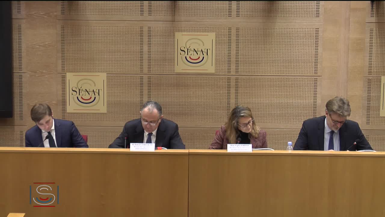 Projet de loi de finances pour 2020 - Audition de M. Didier Guillaume, ministre de l’agriculture et de l’alimentation
