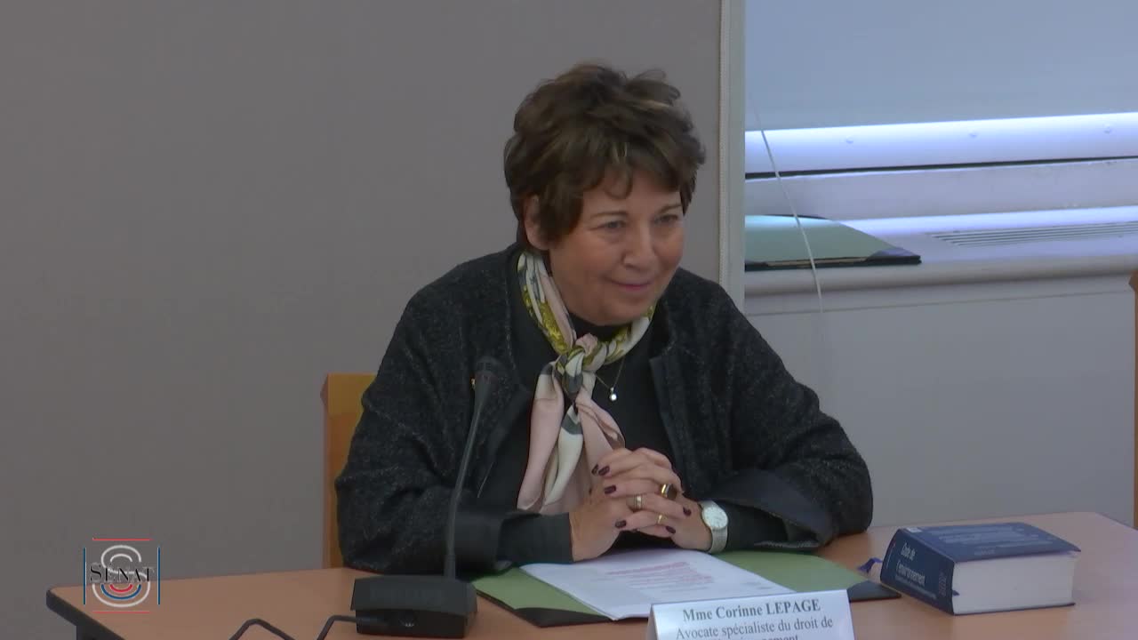 Audition de Mme Corinne Lepage, avocate spécialiste du droit de l’environnement