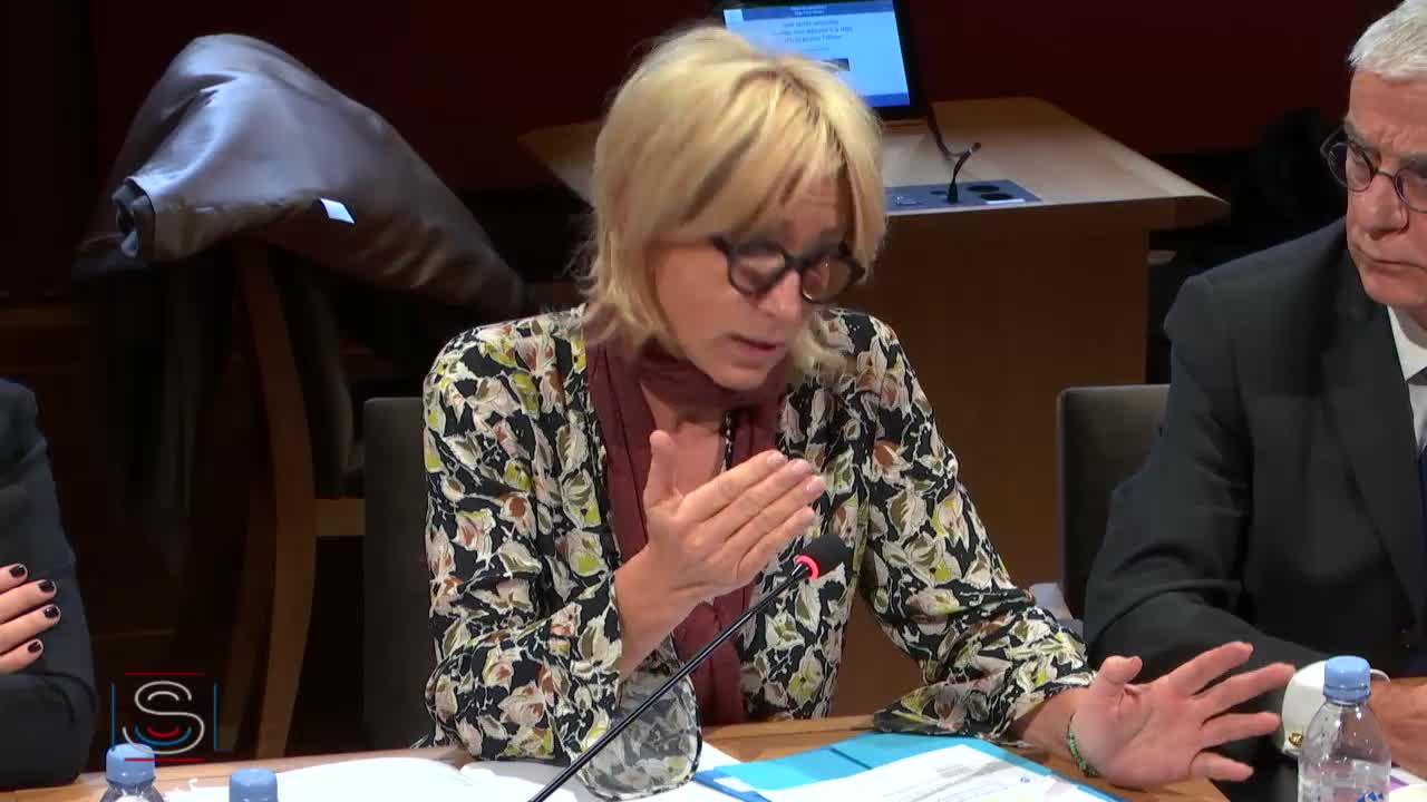 Audition de Mme Agnès Buzyn, ministre des solidarités et de la santé